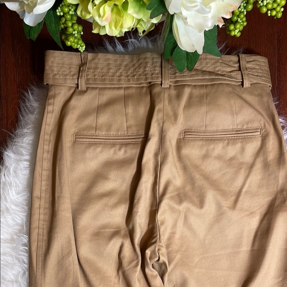Ann Taylor Tan Trousers with Belt - Picture 7 of 13